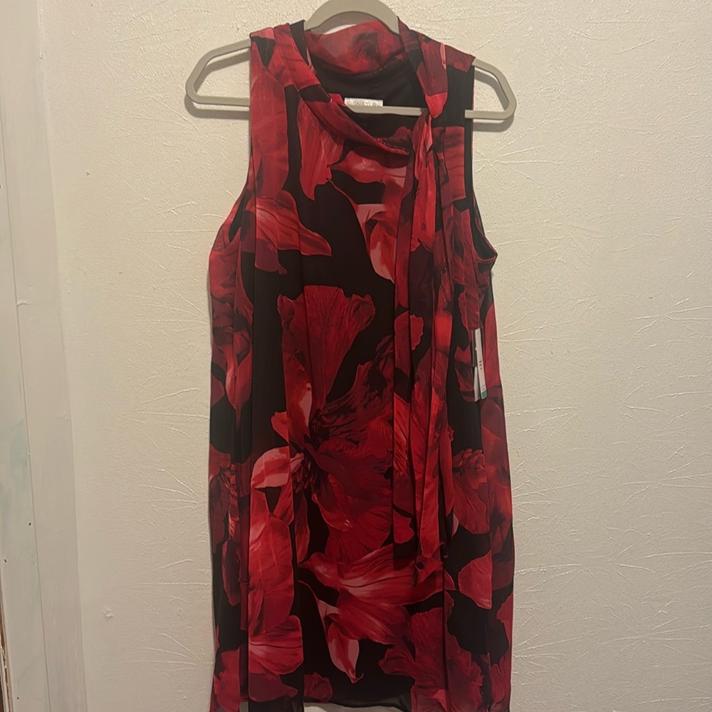 Ladies Dress